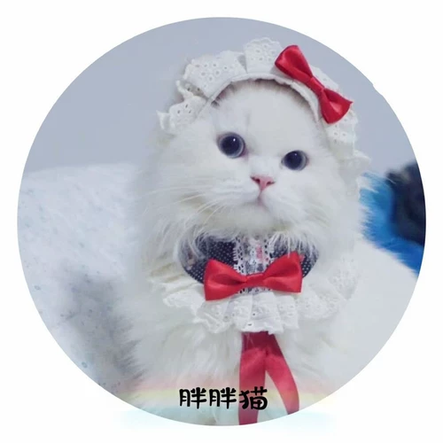 Шлем ручной работы, шапка, нагрудник, чокер, шарф