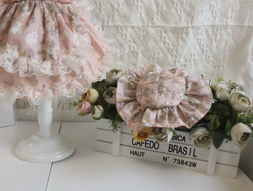 Оу новая домашняя собачья собака для кружевного плать