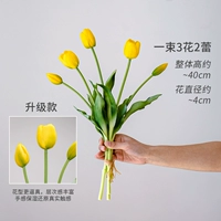 Длинная ветвь медовый желтый ручка тюльпана [увлажняющее ощущение]