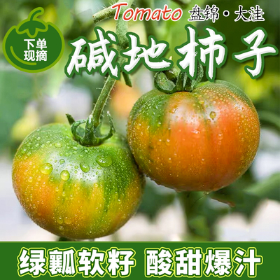 Panjin Base Persimmon 5 кот из клубничного хурмы зеленый пион томатный орл когти железные коття