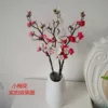 Товары от 百花奇缘花房
