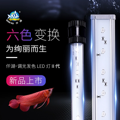 Фонарь -фонарь Qianhu Рыба -фонарь Rang Red Dragon Golden Fish Special Light светодиодные белые регулируемые мультиколорные преобразования