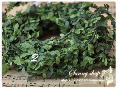 taobao agent Decorative green leaf number: F49