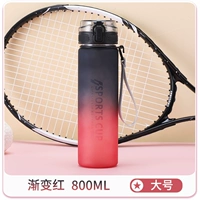 Запрыгивающая модель [градиент красный 800 мл] + чайная перегородка + чашка щетка