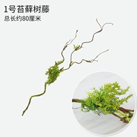 № 1 моделирование моховой виноградной лозы