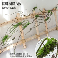 Симуляция моховой виноградной лозы B