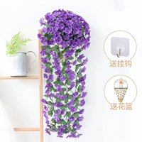 Вайолет синий 1 начинается (дай треугольник корзину)