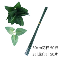 30 см 3 листовой проволочной стержень 50 корней