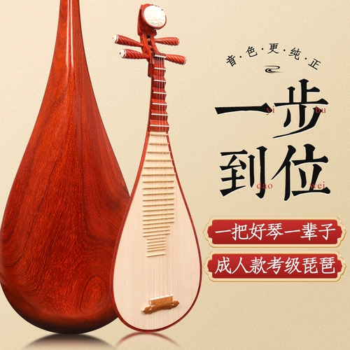 Профессиональные элитные музыкальные инструменты для детей и взрослых для начинающих