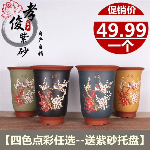 Yixing Diancai Boutique Purple Sand Basin High -Charge Basin Basin Pot Pot Pot Pot Ceramics Ceramics Purple Sand Trum