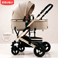 Местное управление тираном золота калифорнийского солнца с четырьмя колесными резинами