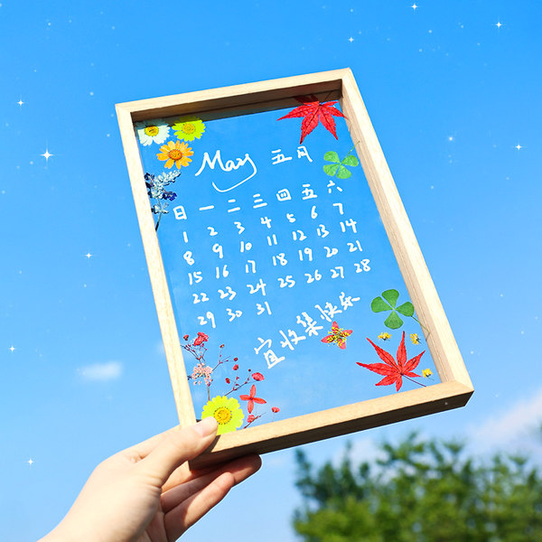 Фоторамка ручной работы, двусторонная стеклянная деревянная лампа для растений, образец, украшение, «сделай сам»