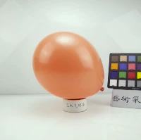 Coral Red Hyatt 10 -Inch Coral Red