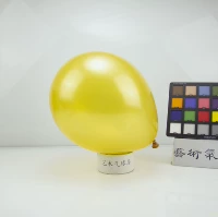 Golden Hyatt 10 -INCH Golden Color