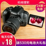 [24 периода интереса -Free] Canon/Canon 850D Флагманский магазин Ant Photography HD Digital Digital Entry -Level SLR камера