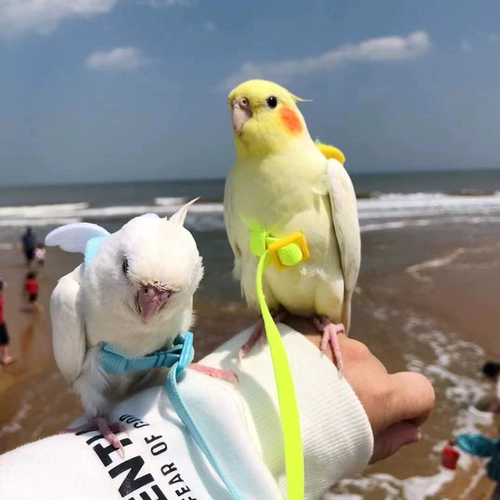 Йо-йо, подтяжки для выхода на улицу, делается под заказ, дорожная версия