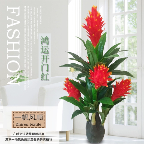 Бионические растения горшечные растения Hongyun Dangtou Thugling Living Room