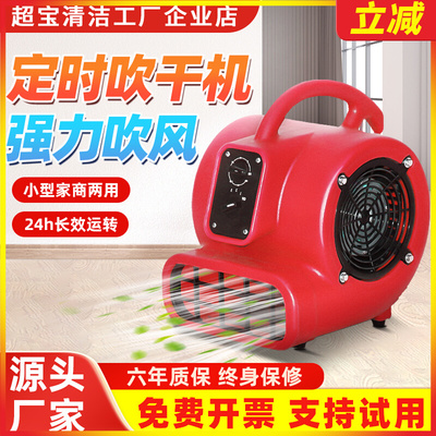 Chao Bao Blowing Dryer Cb350 Небольшая домашняя фен с высоким содержанием мощного ковров