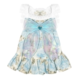 CURRY HOME Юбка для собак лето тонкая одежда для домашних животных маленькая собачья молоко кошка киска собака Тедди Йоркшир