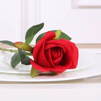 5 ветвей снежной горы Большой красный