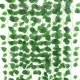80 таблеток зеленого листового листового ротанга (12 штук)