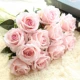 Volta Rose