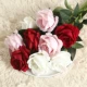 Velvet Rose