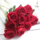 Volta Rose