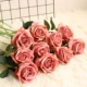 Volta Rose
