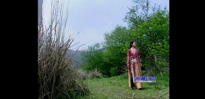 taobao agent Fairy Sword Qi Xia Zhuan Lin Yueru COS clothing customization