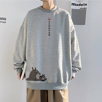 WY269 Grey