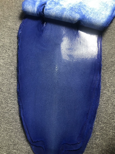 Электрическая светло -голубая кожаная кожаная тонкая шлифовальная рыба из жемчужной Жемчужно -жемчужная рыба