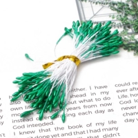 Зеленое симуляция цветочной гипсовой жемчужной ядра 1 мм 1 мм длиной 60 мм около 90 ветвей/сумки