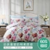Khăn trải giường bằng vải satin 60 mảnh chính thức của Fu Anna bao gồm bốn miếng bông 2019 ra mắt sản phẩm mới - Bộ đồ giường bốn mảnh