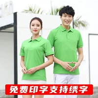18 Yuan Pure Cotton Welfare Модель фрукты зеленый