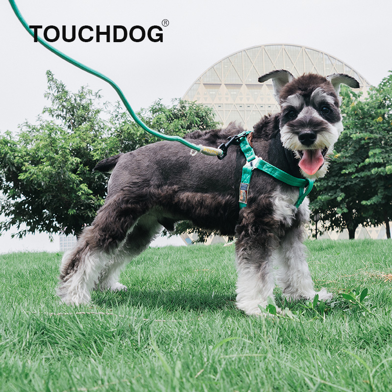 Touchdog它它狗狗牵引绳狗链狗胸背心式小中大型犬遛狗绳宠物用品