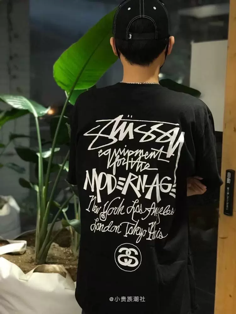 本物の & STÜSSY MOUNTAIN 新品❗️完売品❗️ TEE HARDWEAR Tシャツ