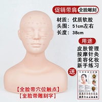 Продвижение с мягким плечом плеча [точки иглоукалывания полного лица]+Картина