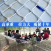 Товары от 诚通绳网1
