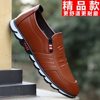 B33 Brown (бутик)