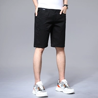 DK8029 Black/Shorts (одиночная установка)