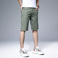 DK8028 Army Green/Shorts (одиночная установка)