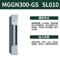 MGGN300-GS SL010