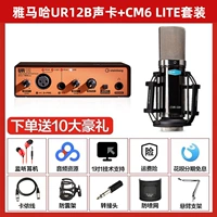 UR12B+Ekchuang CM6Lite Microphone