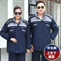 Средний длинное тибетское голубое серое