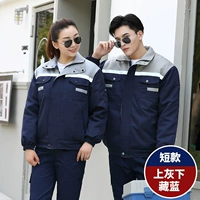 Скрытый голубой пепел+хлопковые брюки