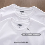 Хлопковый лонгслив, однотонное белое базовое приятное телу термобелье с круглым воротником, осенний