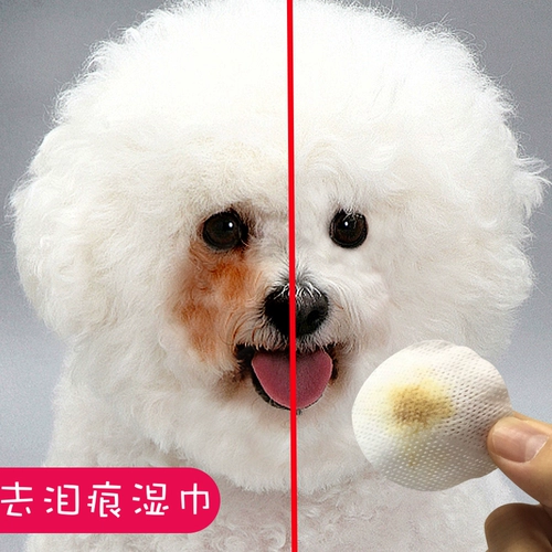 Ins net red cat, собака, собаки, артефакты слез, чем красота плюшевая питомец влажное полотенце, очистка глаз pai rui