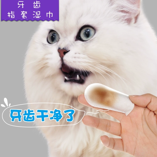Зубы домашние зубы влажный шарф пероральный котенок котят очистка снятия тартара, свежего тон, Pats Rui Pinger Pherater