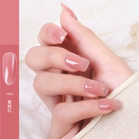 Peach Red Y06s